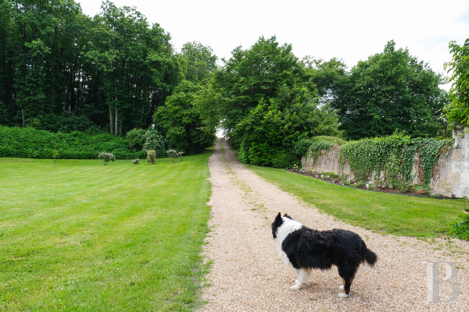 Sur la route du Mans,  une maison d’artistes et ses multiples « îlots » - photo  n°56